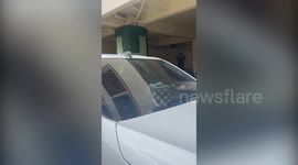 Pet cat survives fall from fifth floor balcony before landing on car and shattering windscreen