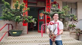 Canadian expat experiences dragon boat racing in China's Zhongshan
