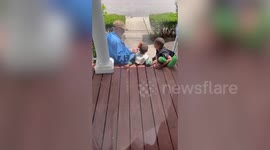 Family 'adopt' elderly neighbour as 'honorary grandpa' and now they spend every holiday together