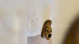 Wife's incredible painstaking repair of her husband's favourite tatty trainers