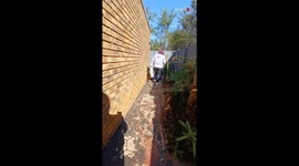 Woman catches a deadly cobra from a residential property *Snake Rescue*