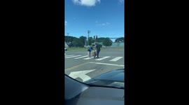 Crossing Guard Helps Elderly Cross