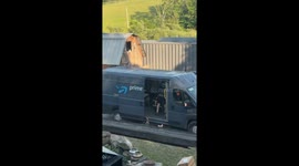 Goats Climb Into Delivery Van