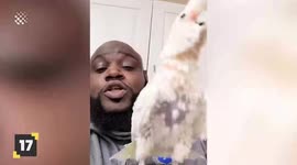 Who knew Birds were this Funny