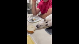 Just One Lick