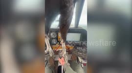 Pilot keeps calm when horror bird strike showers cockpit in blood (full video)