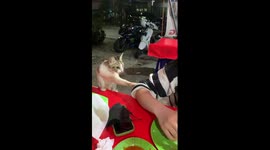 'Can I have some?' - Adorable cat begs for food at outdoor restaurant