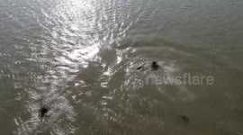 Iraqis seek ways to escape scorching summer heat
