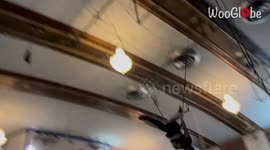 Acrobat falls while swinging on a trapeze during practice *Acrobatic fail*