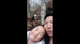 Villagers capture epic selfies with sleeping wild panda in China's national park