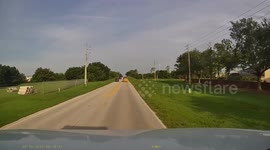Cows Fall Out Of Trailer On Roadway