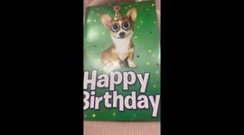 Dog Doesn't Like Birthday Card