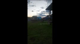 Pet Pig Cuddles Baby