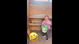 Less Than Gentle Egg Collecting