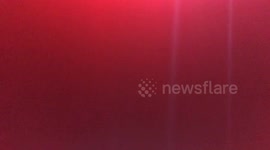 music party in egypt cairo