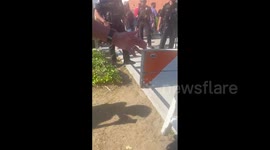 Police set up barricades at protest over LGBTQ+ education outside school in Glendale, US