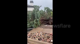 Tornado uproots large number of trees in Highlands Ranch, Colorado, US