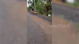 Miniature train takes tourists around farm with beautiful pond