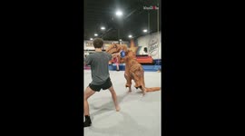 Man nails a T-REXtraordinary acrobatic kick on kick paddles