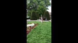 Dog Just Wants A Dip In The Fountain