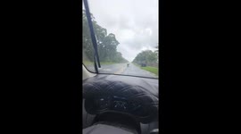 Serviceman Moves Turtle Off Roadway
