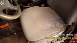 Incredible Deep Cleaning Car Transformation
