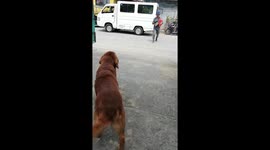 Retriever Retrieves a Package