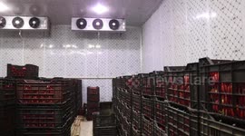 Zero energy cold storage built in W. Afghanistan