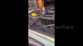 US: EF-1 Tornado Touches Down In Highlands Ranch, CO, Leaving Significant Damage 10
