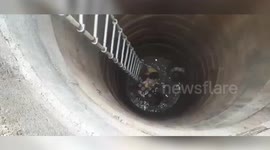 Locals, firemen come to the rescue, saves toddler from open well in eastern India