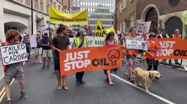 Just Stop Oil march to stop departure of activist Marcus Decker