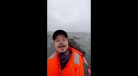 Namibian Seals Play With Kayaker