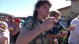That's gotta sting! World Nettle Eating Competition takes place in UK