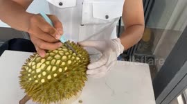 Vietnamese chef sculpts beautiful chrysanthemum flowers on durian