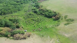 Stunning views of Ar Horqin Grassland in China's Inner Mongolia