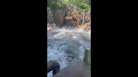 Girl screams hoarsely on the Kali River Rapids ride at Disney World’s Animal Kingdom