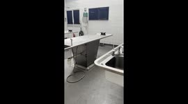 THE SECRETS of an abandoned mortuary have been unlocked by the photographer who was left so horrified he needed to leave after finding a victim’s medical files and a well-stocked autopsy tools cupboard.
