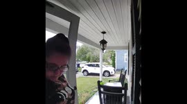 Ring Camera Catches a Deer Suddenly Jumping Over a Car