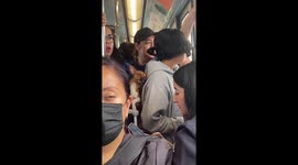 Pup Sleeps on Crowded Subway