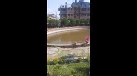 Humanity still exists. A man saving a pigeon from drowning.