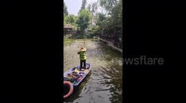 Mass fish leap in Chinese pond leaves locals astonished