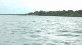 Kenyan coastal fishermen rejoice over export of anchovies to China