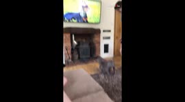 Overexcited dog starts jumping & gets caught mid-air by owner *SMOOTH!*