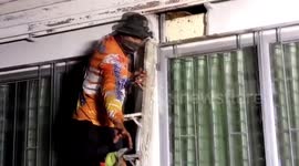 Pest exterminators destroy huge beehive nestled under school ceiling
