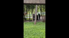 Rostov-on-Don zoo evacuates animals as fire engulfs building