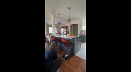 Alberta dad springs into disbelief after kids from BC surprise him for his birthday