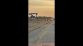 Crazy Cow Chase