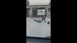 Guy Tries to Help Geese Cross Road
