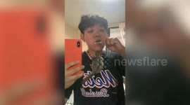 Pet sugar glider tries to snatch toothbrush from owner while she cleans her teeth
