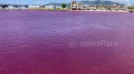 Beer factory leaks and colours river blood-red in Japan